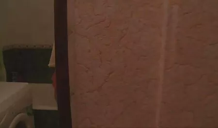 Thick Wife spielt mit Single Bull, während Hubby dt sexfilme babysittet.
